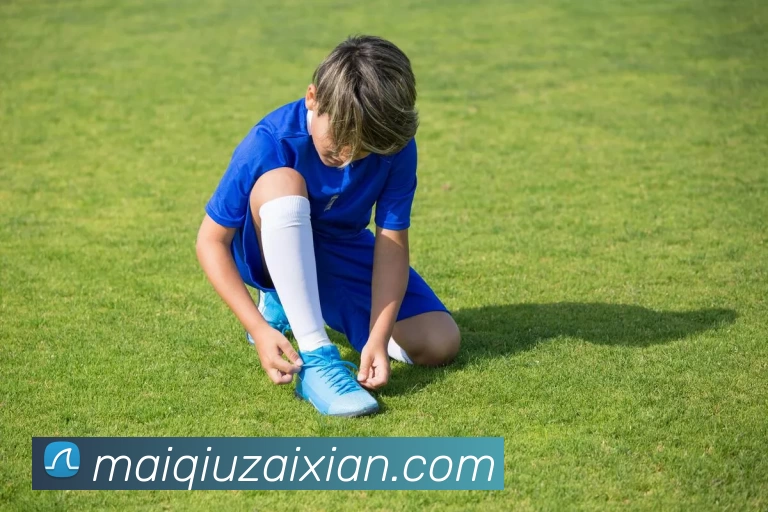 在线买球平台生态图