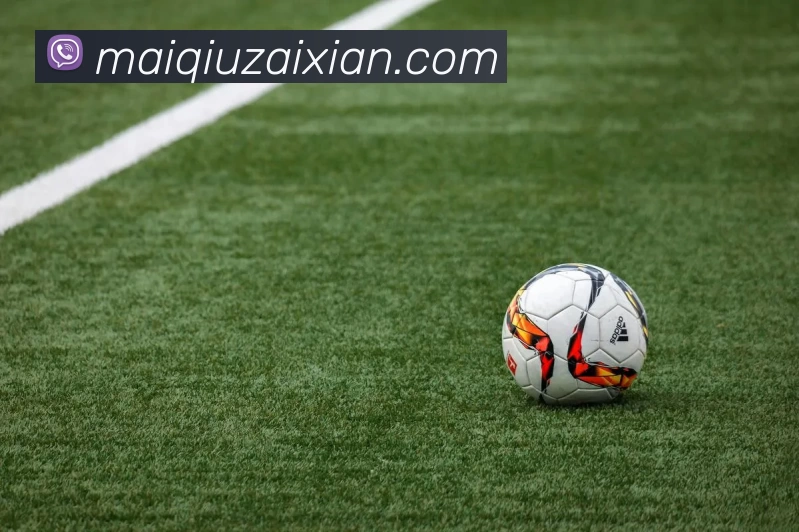 在线买球APP 封面图